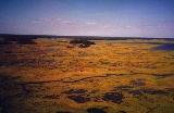 Lankford Sands Marsh, Indian Hammock and East Creek in background